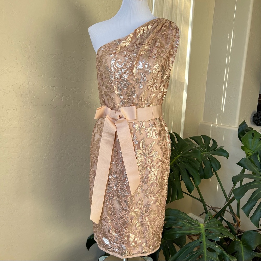 Tadashi Shoji $328 Champagne Sequined One Shoulder Knee Length Dress 12 - Picture 5 of 13